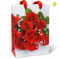 Gift bag 1