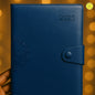 Diary B1 2025