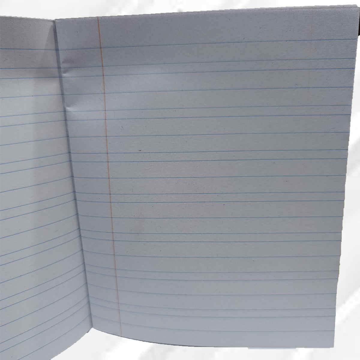 EXERCISE BOOKS-4 (Dozen)